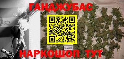 мдпв Гагарин