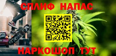 скорость Гатчина