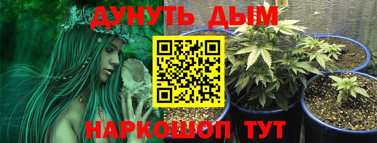 Конопля LSD WEED Наро-Фоминск